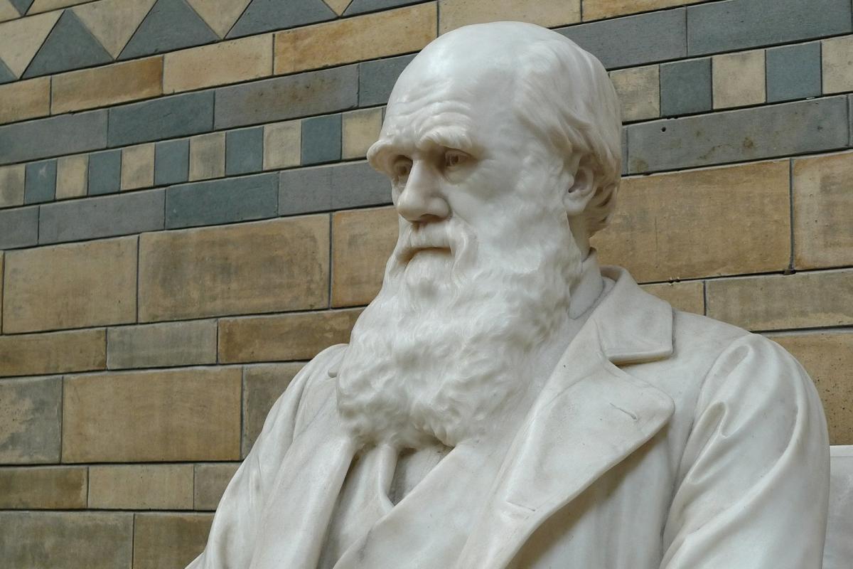 Darwin