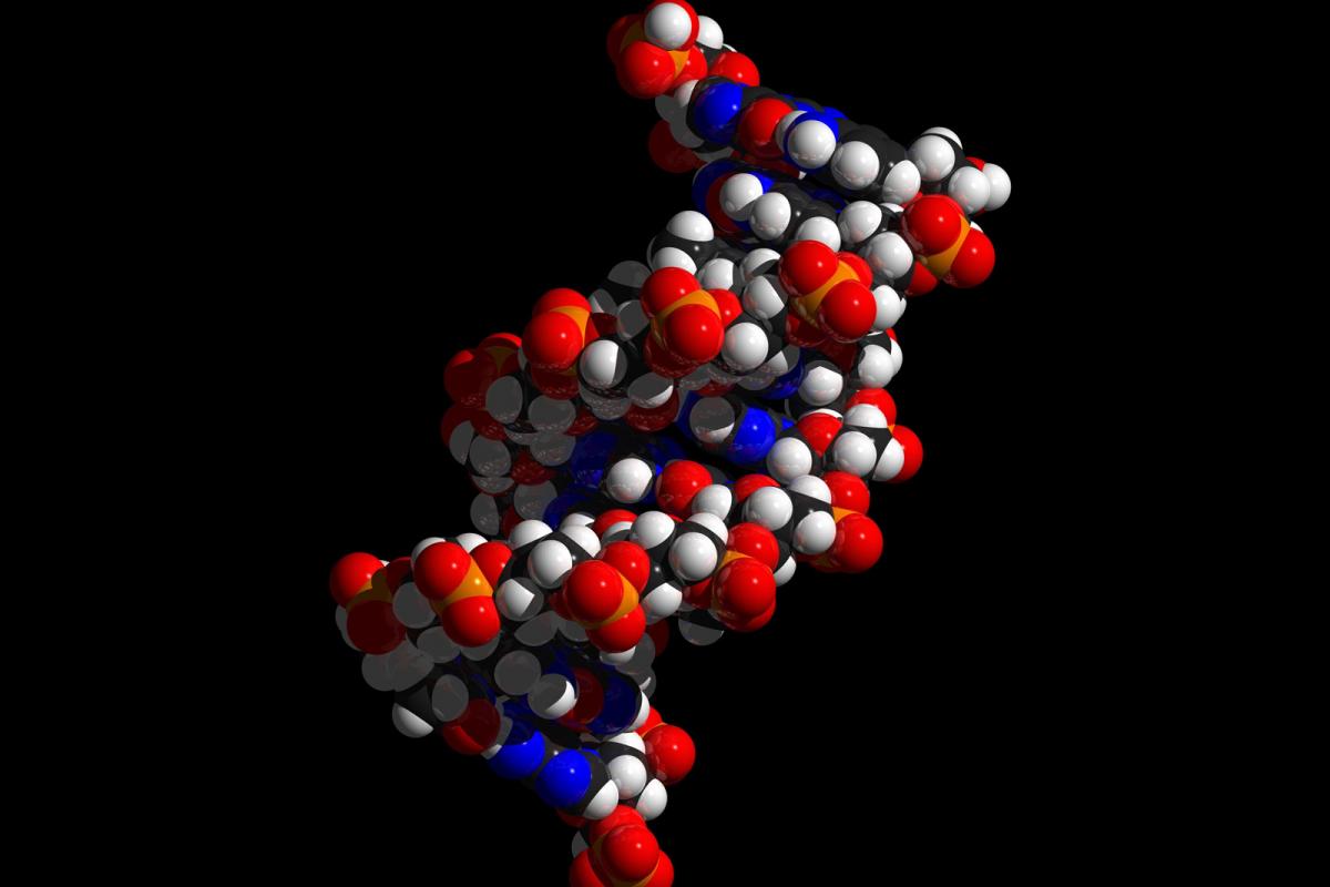 DNA-Strang