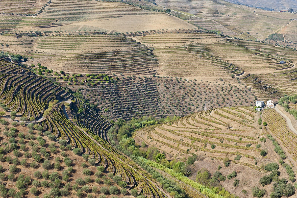 Trás-os-Montes