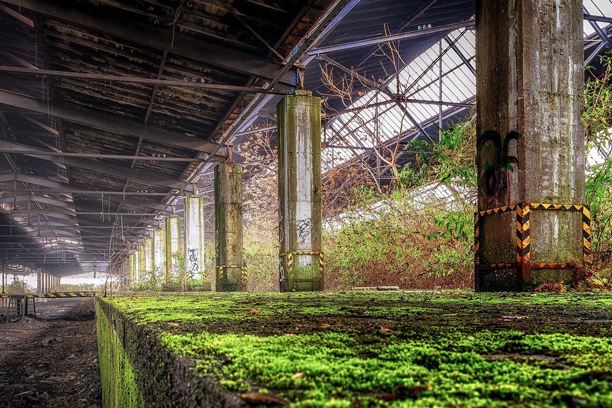 Stillgelegter Bahnhof der mit Pflanzen und Moos bewachsen ist