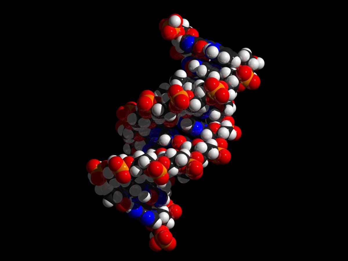 DNA-Strang