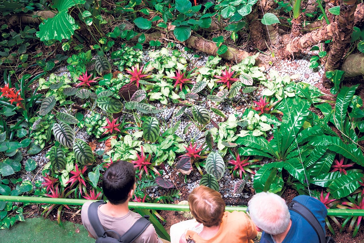 Parkanlage mit Hirschen, Labyrinthen, Wasserfontänen und Orchideen: der Utopia Park in Netanaj, Israel