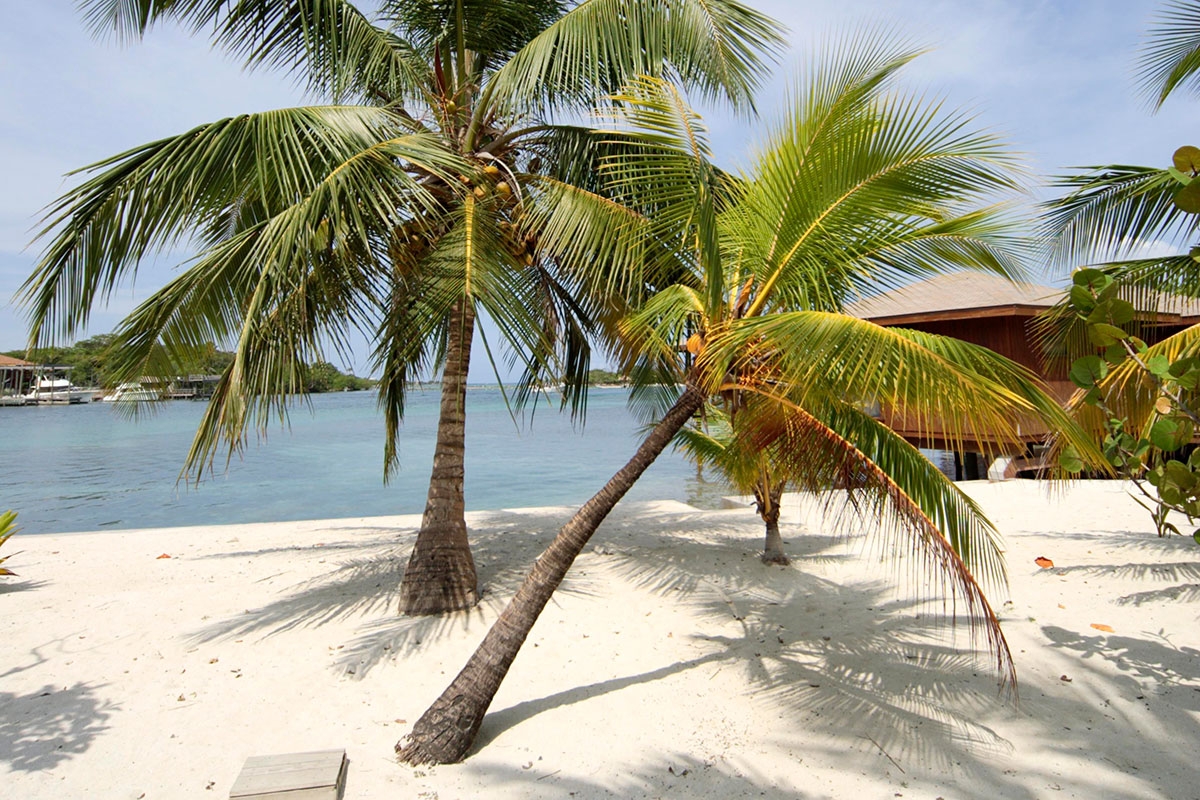 An diesem Strand auf der Insel Roatán gelten noch die Gesetze der Republik Honduras