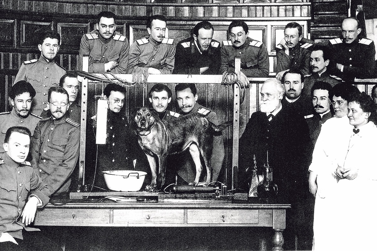 Gruppenbild mit Proband. Iwan Pawlow (rechts, mit weißem Bart) bei der Vorführung seiner Hundeexperimente, Moskau 1925