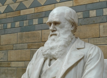 Darwin