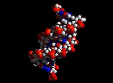 DNA-Strang