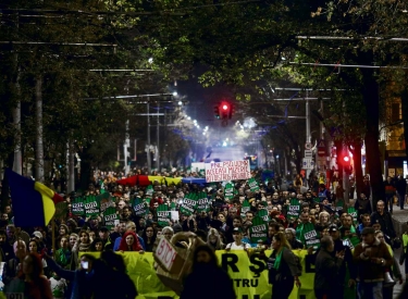 People march against widespread illegal logging and lack of policy response that has left two foresters dead earlier this year, in Bucharest, Romania, November 3, 2019. 