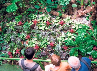 Parkanlage mit Hirschen, Labyrinthen, Wasserfontänen und Orchideen: der Utopia Park in Netanaj, Israel