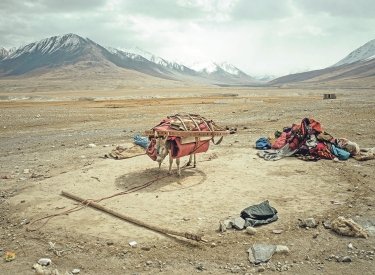 Landschaft in Afghanistan mit bepacktem Esel