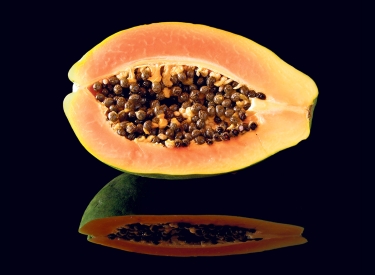 Papaya