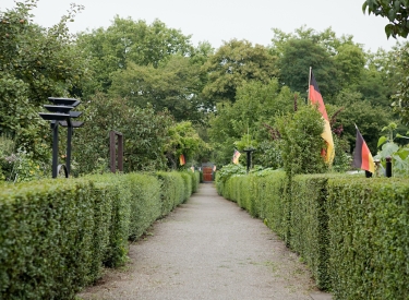 Schrebergarten