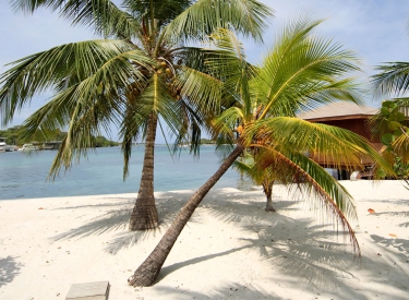 An diesem Strand auf der Insel Roatán gelten noch die Gesetze der Republik Honduras