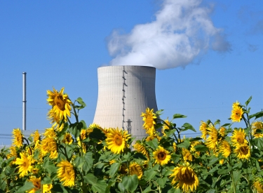 Das Atomkraftwerk Isar 2 mit Sonnenblumen