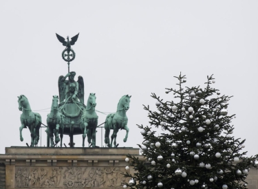 Weihnachtsbaum mit abgesägter Spitze 