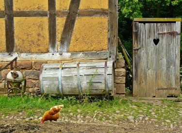 eine pittoreske Scheune mit Huhn