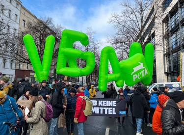 Grüner wird’s nichts. Auch die umstrittene Tierschutzorganisation Peta beteiligte sich am vergangenen Samstag an der Demonstration »Wir haben es satt!« in Berlin